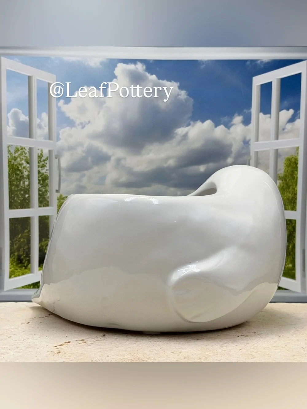 Ceramic Seal Planter with Drainage Hole • Cute Animal Flower Pot